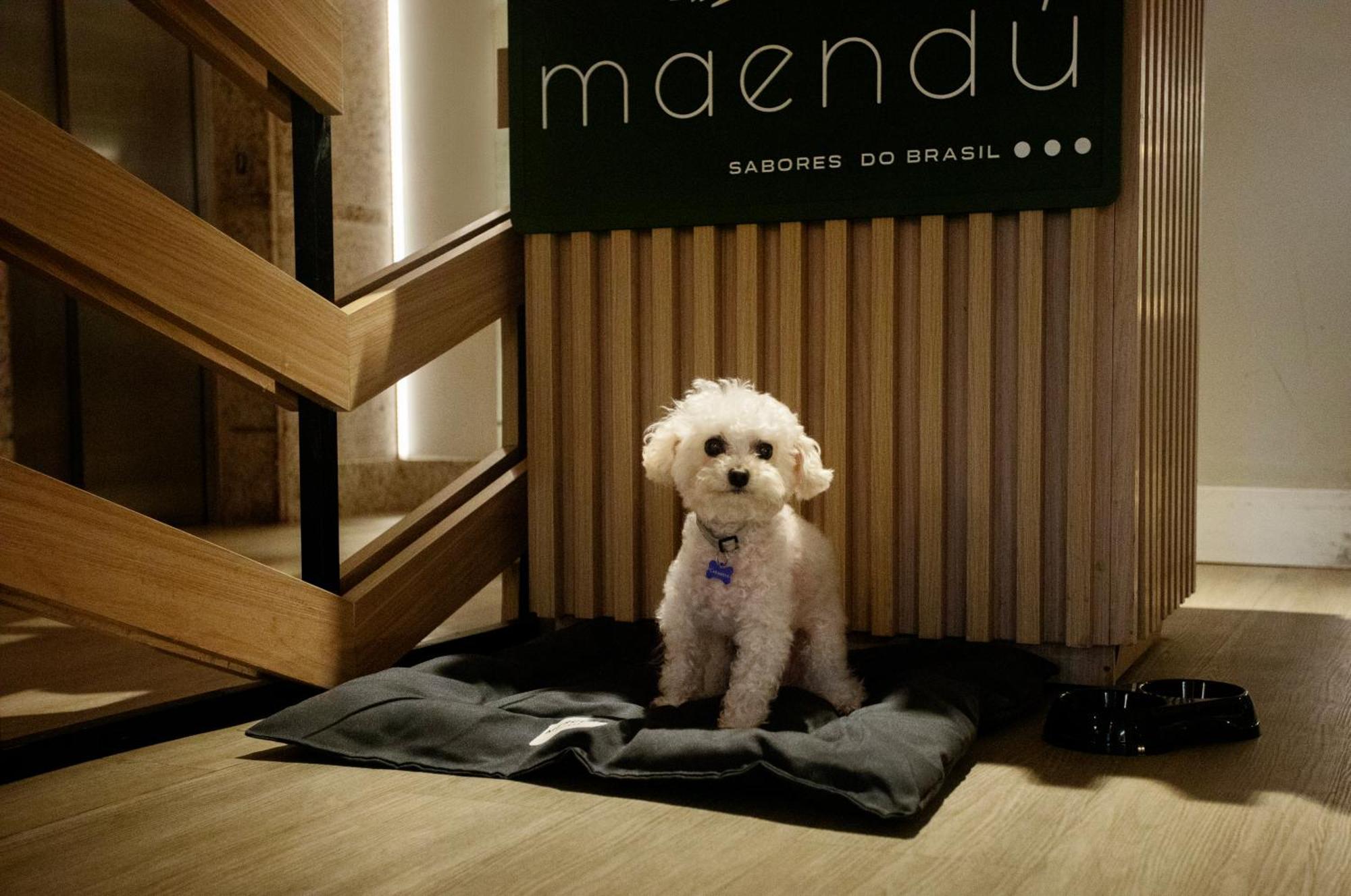 Mercure Maceio Pajucara Экстерьер фото